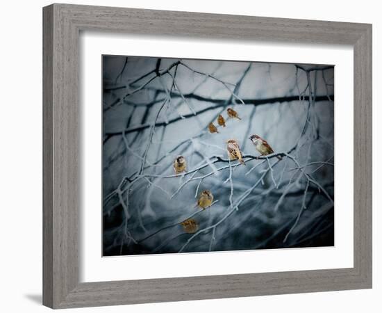 Teeming with Life, 2019,-Helen White-Framed Giclee Print