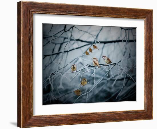 Teeming with Life, 2019,-Helen White-Framed Giclee Print