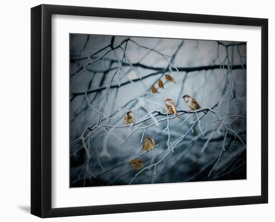 Teeming with Life, 2019,-Helen White-Framed Giclee Print