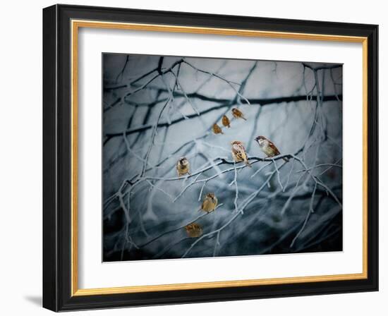 Teeming with Life, 2019,-Helen White-Framed Giclee Print