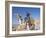 Teenage Boy on Camel in Front of the Great Colonnade, Palmyra, Syria, Middle East-Alison Wright-Framed Photographic Print