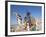 Teenage Boy on Camel in Front of the Great Colonnade, Palmyra, Syria, Middle East-Alison Wright-Framed Photographic Print