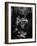 Teenage Boy Peering Into Window of Ticket Booth at a Movie Theater-Yale Joel-Framed Photographic Print