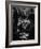 Teenage Boy Peering Into Window of Ticket Booth at a Movie Theater-Yale Joel-Framed Photographic Print