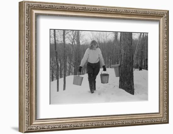 Teenage Girl Gathering Sap from Sugar Maple Trees, North Bridgewater, Vermont, 1940-Marion Post Wolcott-Framed Photographic Print