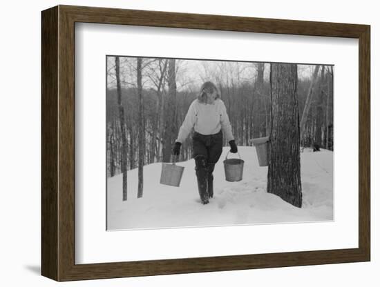 Teenage Girl Gathering Sap from Sugar Maple Trees, North Bridgewater, Vermont, 1940-Marion Post Wolcott-Framed Photographic Print