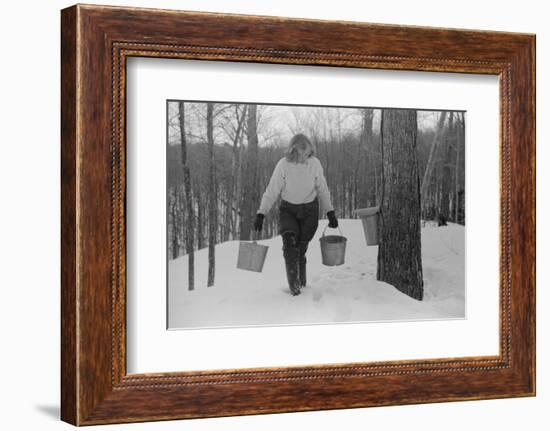 Teenage Girl Gathering Sap from Sugar Maple Trees, North Bridgewater, Vermont, 1940-Marion Post Wolcott-Framed Photographic Print