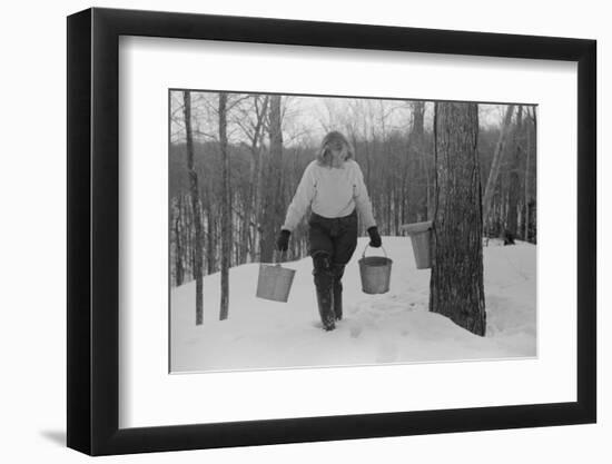 Teenage Girl Gathering Sap from Sugar Maple Trees, North Bridgewater, Vermont, 1940-Marion Post Wolcott-Framed Photographic Print