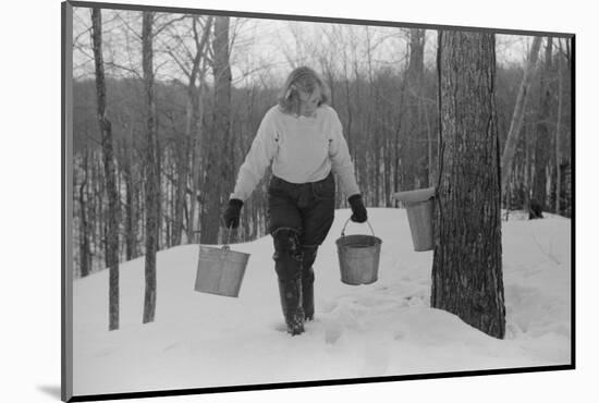 Teenage Girl Gathering Sap from Sugar Maple Trees, North Bridgewater, Vermont, 1940-Marion Post Wolcott-Mounted Photographic Print