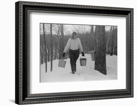 Teenage Girl Gathering Sap from Sugar Maple Trees, North Bridgewater, Vermont, 1940-Marion Post Wolcott-Framed Photographic Print