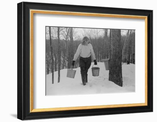 Teenage Girl Gathering Sap from Sugar Maple Trees, North Bridgewater, Vermont, 1940-Marion Post Wolcott-Framed Photographic Print