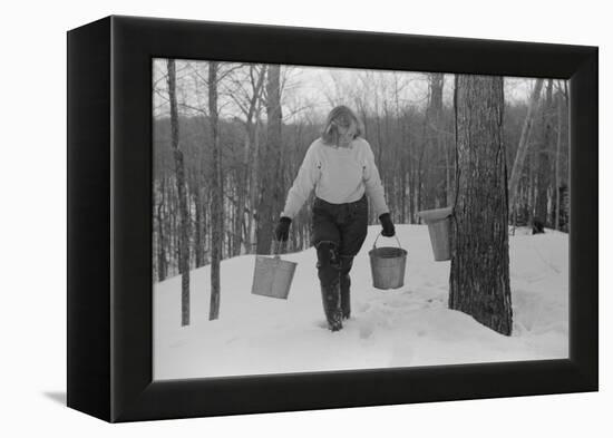 Teenage Girl Gathering Sap from Sugar Maple Trees, North Bridgewater, Vermont, 1940-Marion Post Wolcott-Framed Premier Image Canvas