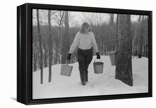 Teenage Girl Gathering Sap from Sugar Maple Trees, North Bridgewater, Vermont, 1940-Marion Post Wolcott-Framed Premier Image Canvas