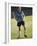 Teenage Girl on a Soccer Field-null-Framed Photographic Print