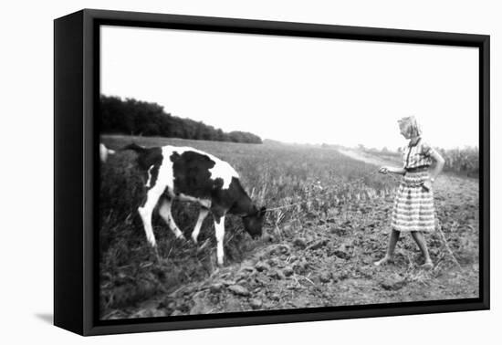 Teenage Girl Pulls a Calf with a Chain through a Field, Ca.1939.-Kirn Vintage Stock-Framed Premier Image Canvas