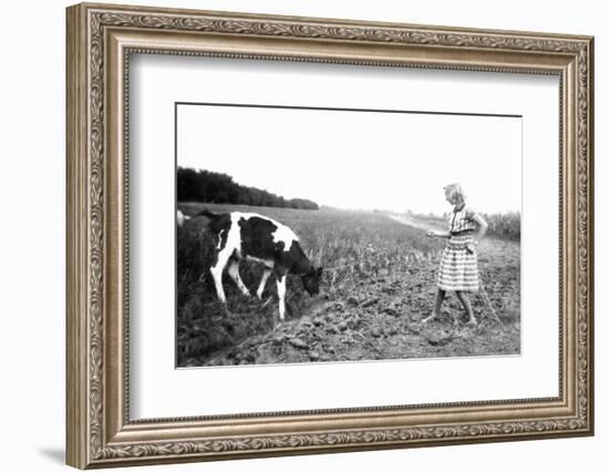 Teenage Girl Pulls a Calf with a Chain through a Field, Ca.1939.-Kirn Vintage Stock-Framed Photographic Print