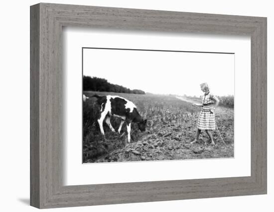 Teenage Girl Pulls a Calf with a Chain through a Field, Ca.1939.-Kirn Vintage Stock-Framed Photographic Print