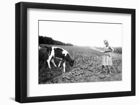 Teenage Girl Pulls a Calf with a Chain through a Field, Ca.1939.-Kirn Vintage Stock-Framed Photographic Print