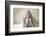 Teenage Girl Putting on Hoodie, Portrait-Axel Schmies-Framed Photographic Print