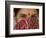 Teenage Girl, Tala, Bandhavgarh National Park, Madhya Pradesh, India-Thorsten Milse-Framed Photographic Print