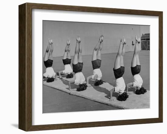 Teenage Girls from Hoover High School Standing on Their Heads in Gymnastics Class-Martha Holmes-Framed Photographic Print