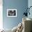 Teenage Girls Looking over their Stamp Albums-Yale Joel-Framed Photographic Print displayed on a wall