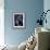 Teenage Girls on a Soccer Team Celebrating-null-Framed Photographic Print displayed on a wall