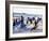 Teenage Surfers Running with Their Boards Towards the Water at a Life Saving Competition-Yadid Levy-Framed Photographic Print