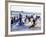 Teenage Surfers Running with Their Boards Towards the Water at a Life Saving Competition-Yadid Levy-Framed Photographic Print