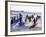 Teenage Surfers Running with Their Boards Towards the Water at a Life Saving Competition-Yadid Levy-Framed Photographic Print