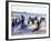 Teenage Surfers Running with Their Boards Towards the Water at a Life Saving Competition-Yadid Levy-Framed Photographic Print