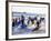 Teenage Surfers Running with Their Boards Towards the Water at a Life Saving Competition-Yadid Levy-Framed Photographic Print