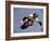 Teenager Inline Skating in Mid-Air-null-Framed Photographic Print