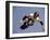 Teenager Inline Skating in Mid-Air-null-Framed Photographic Print