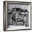 Teenagers Hanging Out at the Local Drive In-Hank Walker-Framed Photographic Print