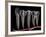 Teeth, Cross Section-PASIEKA-Framed Photographic Print