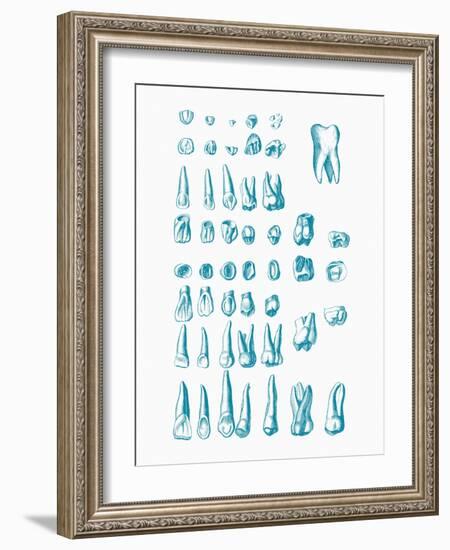 Teeth-Mehau Kulyk-Framed Photographic Print