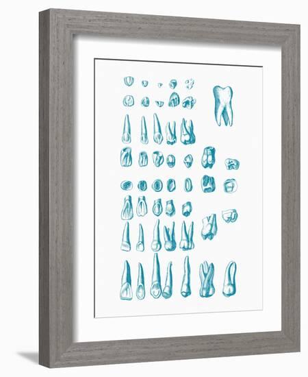 Teeth-Mehau Kulyk-Framed Photographic Print