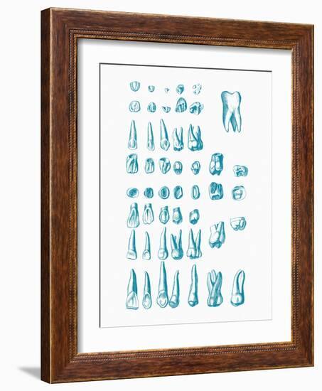 Teeth-Mehau Kulyk-Framed Photographic Print