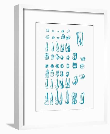 Teeth-Mehau Kulyk-Framed Photographic Print