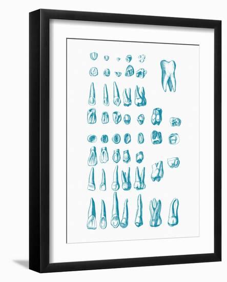 Teeth-Mehau Kulyk-Framed Photographic Print