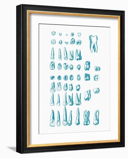 Teeth-Mehau Kulyk-Framed Photographic Print