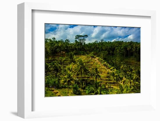 Tegalalang Terraced Rice Paddy, Bali, Indonesia, Southeast Asia, Asia-Laura Grier-Framed Photographic Print