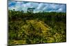 Tegalalang Terraced Rice Paddy, Bali, Indonesia, Southeast Asia, Asia-Laura Grier-Mounted Photographic Print