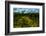 Tegalalang Terraced Rice Paddy, Bali, Indonesia, Southeast Asia, Asia-Laura Grier-Framed Photographic Print