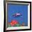 Tegan Mor, 1999-John Miller-Framed Giclee Print