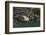 Tegernsee, BrŠustŸberl, Restaurant, Gastronomy, KlosterstŸberl-Frank Fleischmann-Framed Photographic Print