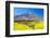 Teide Volcano Peak with Yellow Flowers in the Foreground, Tenerife Island, Spain.-tuulijumala-Framed Photographic Print