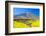 Teide Volcano Peak with Yellow Flowers in the Foreground, Tenerife Island, Spain.-tuulijumala-Framed Photographic Print