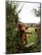 Premium Photographic Print